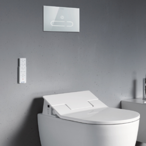 A2 spolplatta med vägghängd toalett, allt från Duravit.