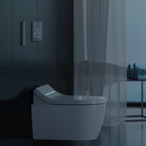 A2 spolplatta med vägghängd toalett, allt från Duravit.