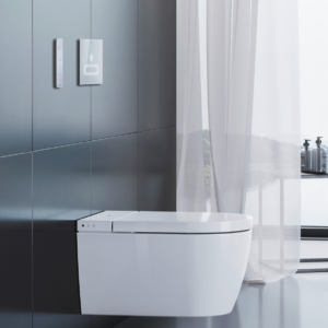 A2 spolplatta med vägghängd toalett, allt från Duravit.